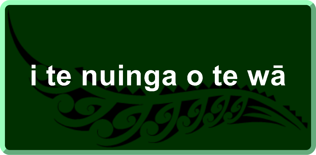 i te nuinga o te wā: most of the time