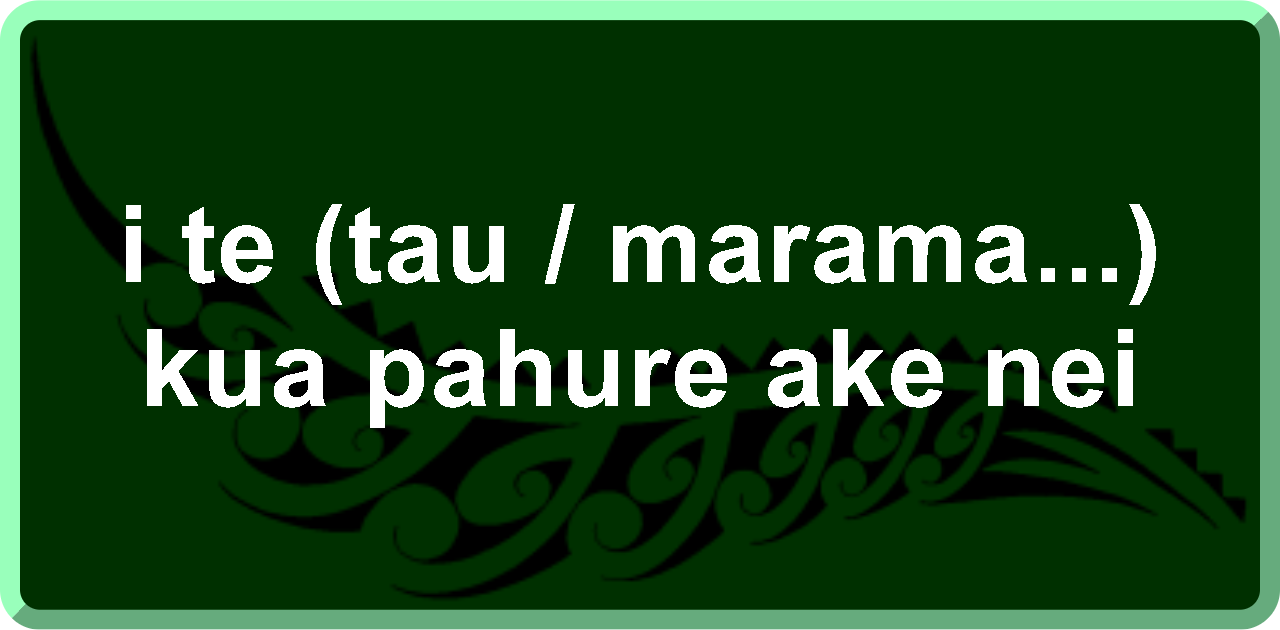 i te (tau / marama...) kua pahure ake nei: last (year / month...)