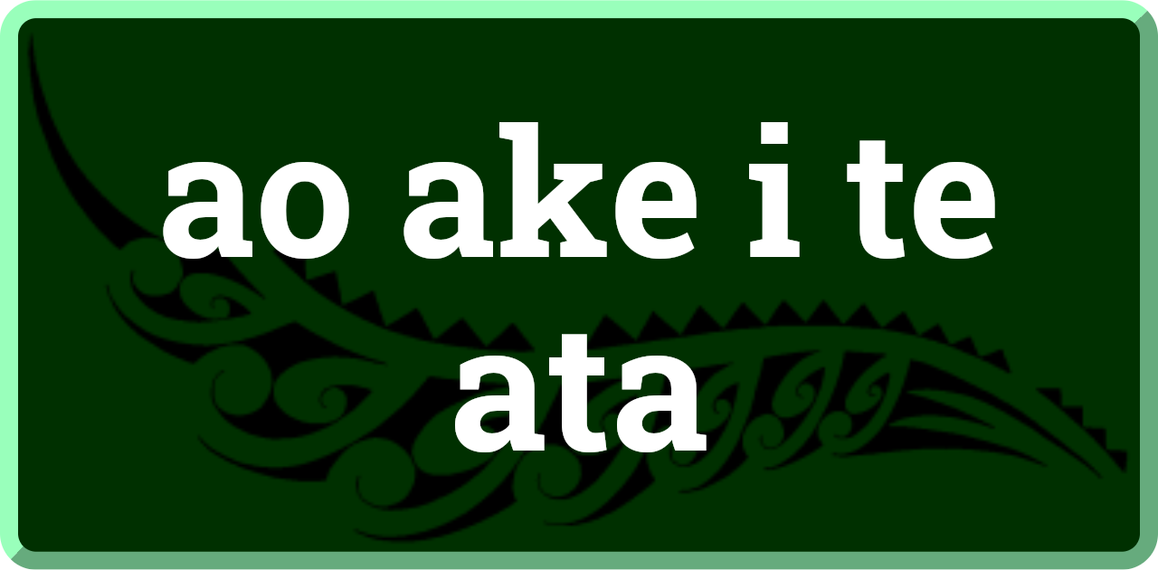 ao ake i te ata: the next morning