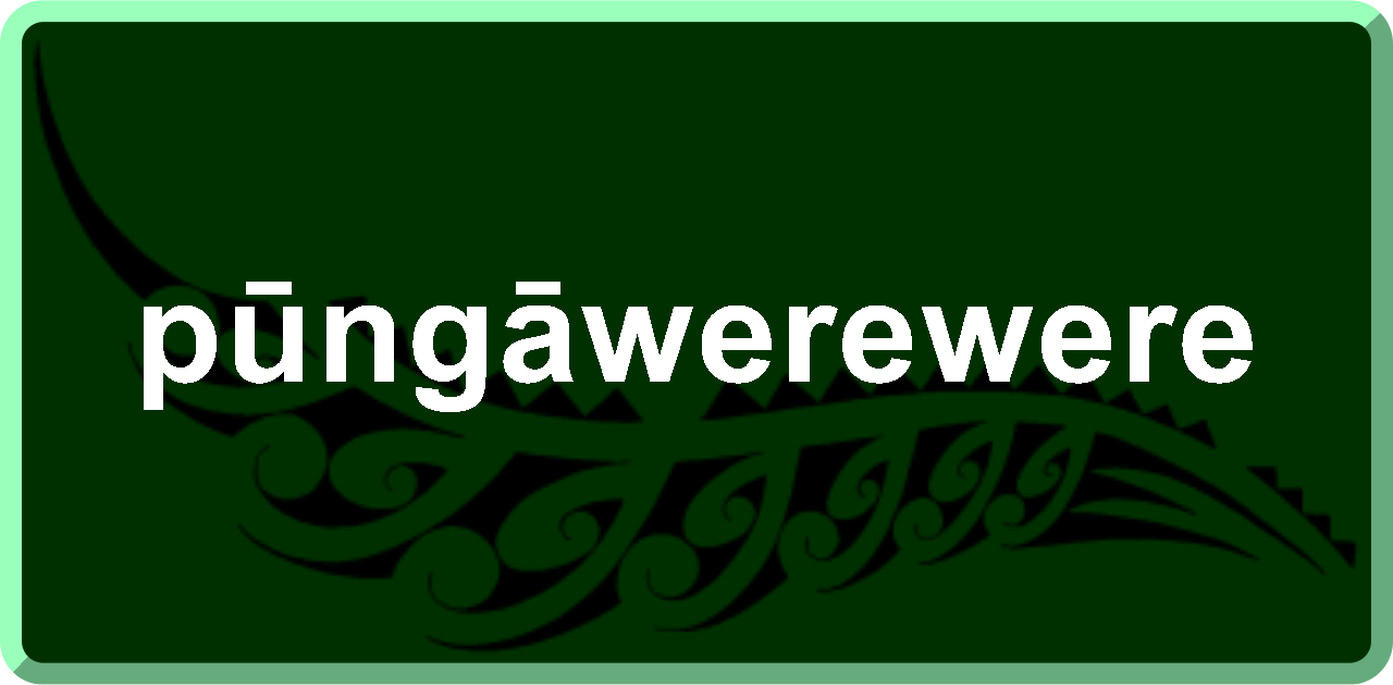 pūngāwerewere: spider