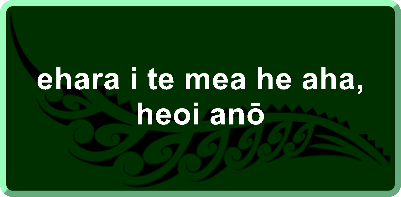 ehara i te mea he aha, heoi anō: it's no big deal, however