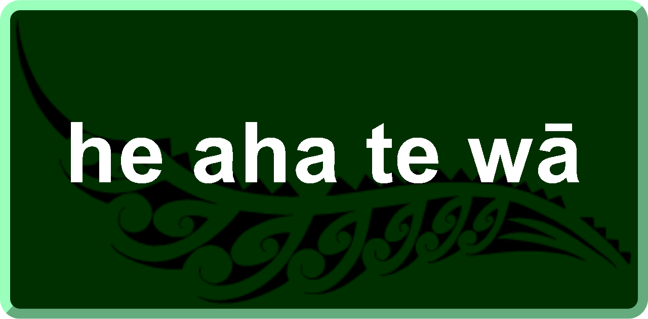 he aha te wā whats the time?