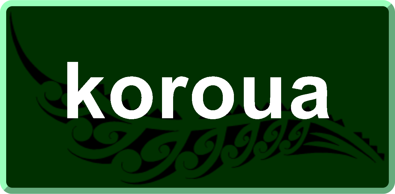koroua: elderly man