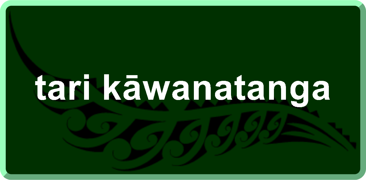 tari kāwanatanga: public service