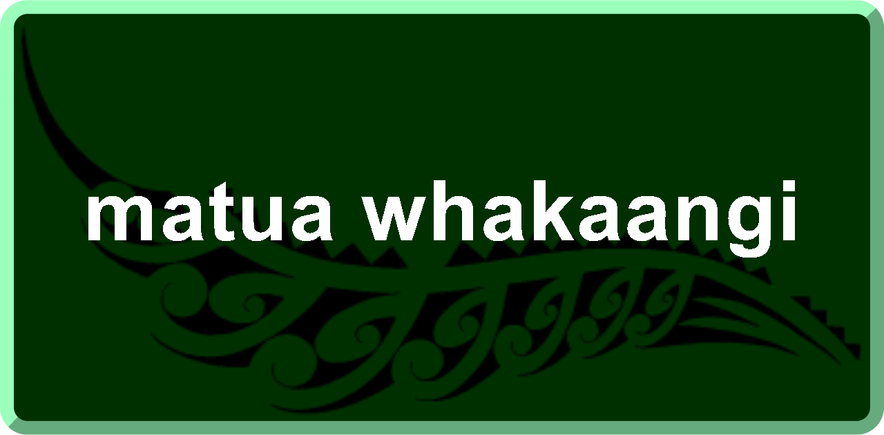 matua whakaangi: stepfather