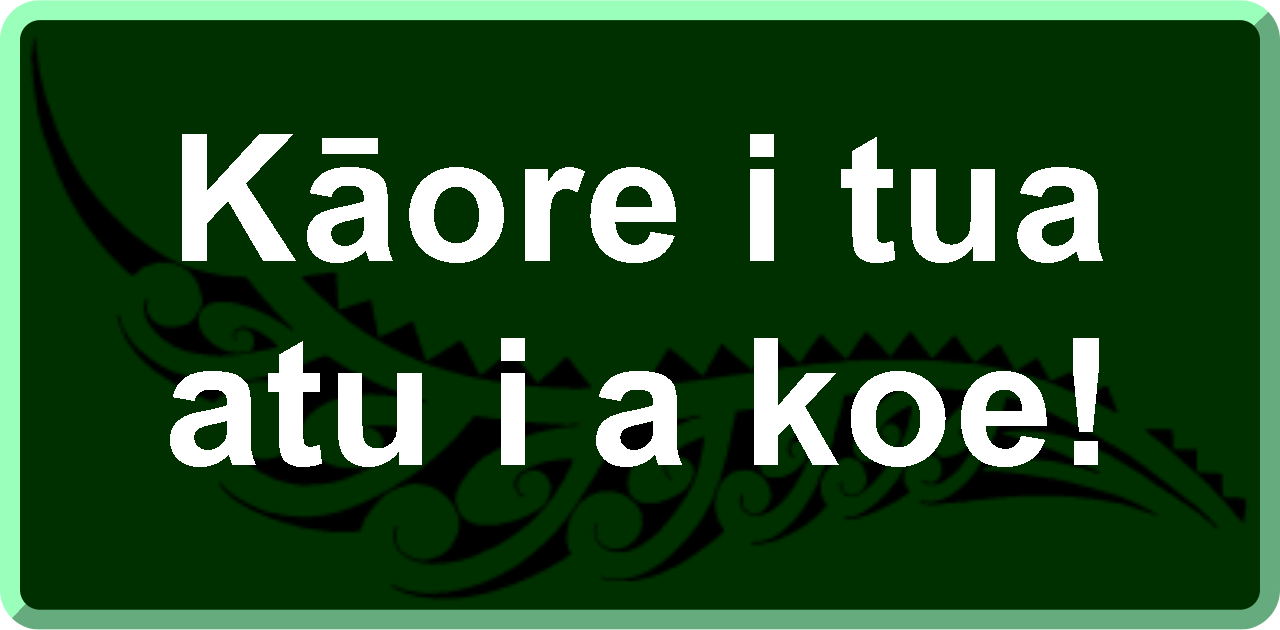 Kāore i tua atu i a koe!: There’s no one better than you!