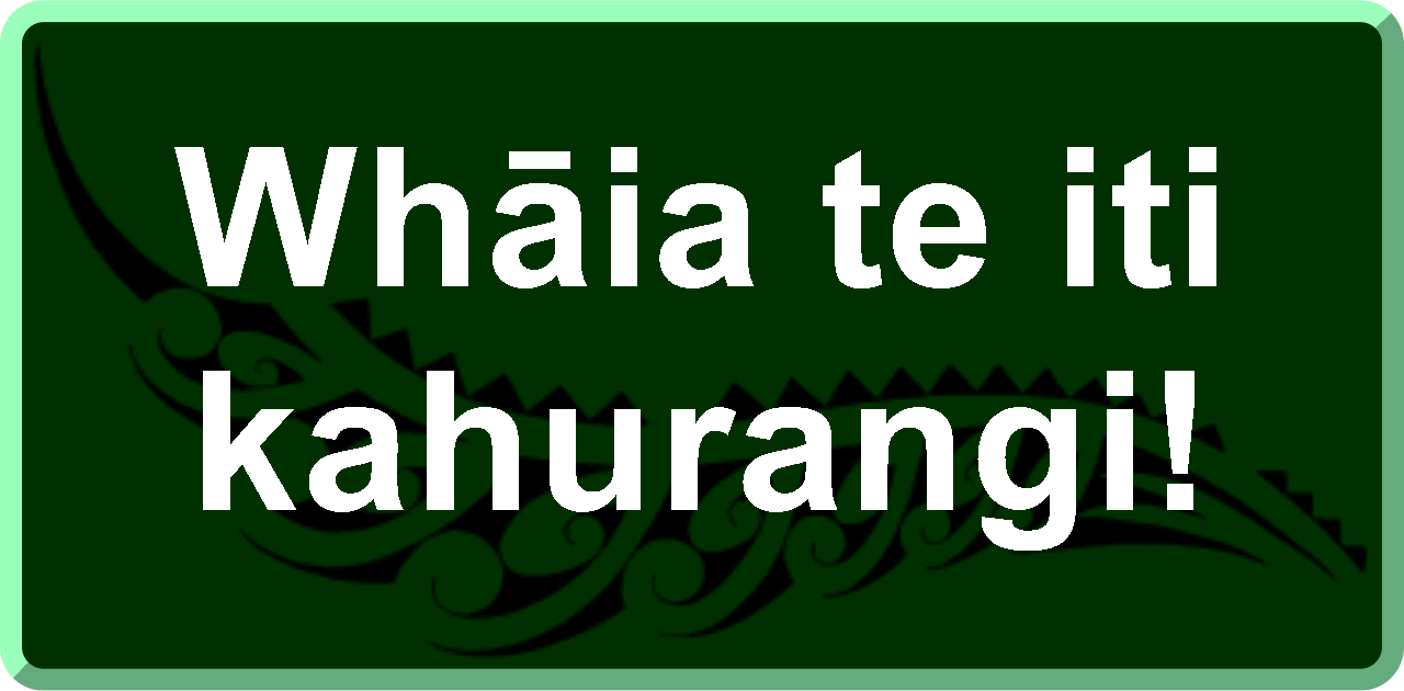 Whāia te iti kahurangi!: Strive for something of great value!