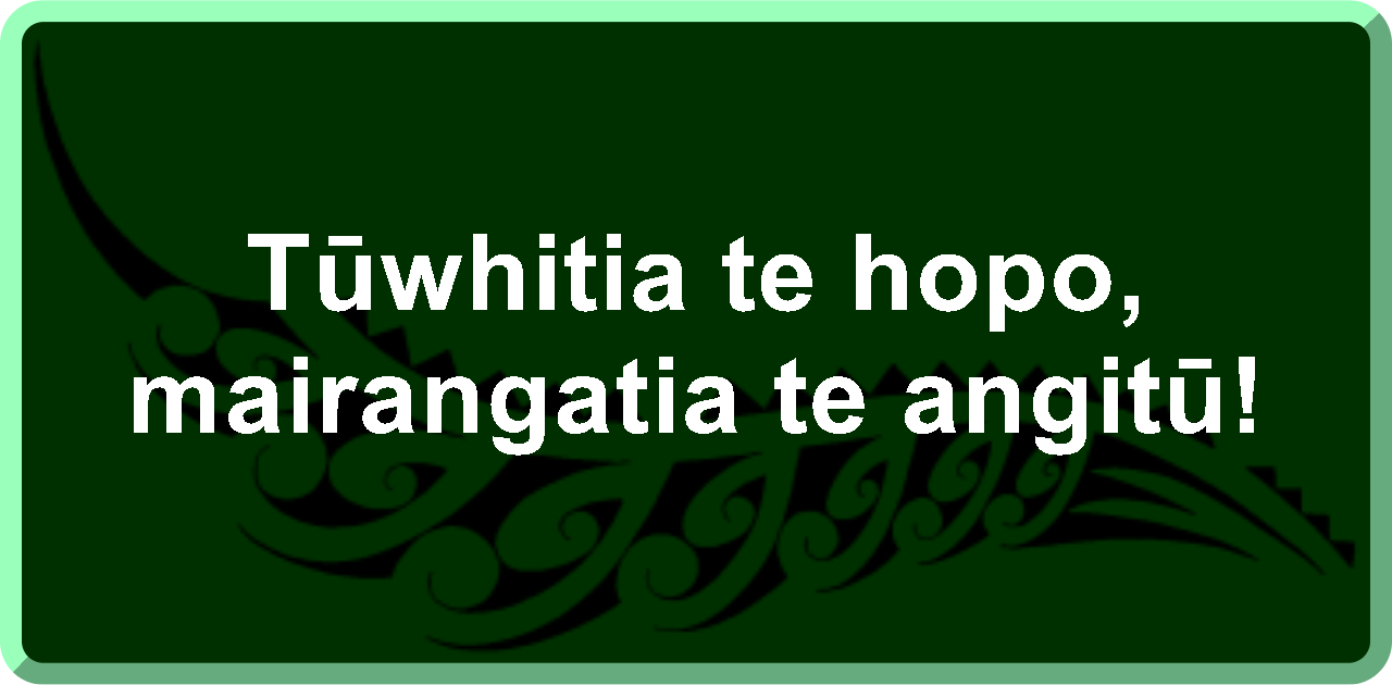 Tūwhitia te hopo, mairangatia te angitū!: Feel the fear and do it anyway!