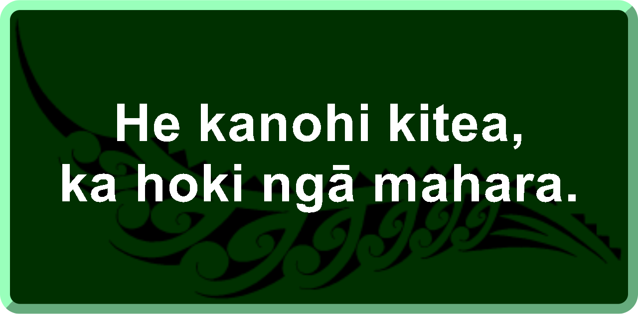 He kanohi kitea, ka hoki ngā mahara.: A familiar face stirs the memory.